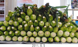 支援もろこし
